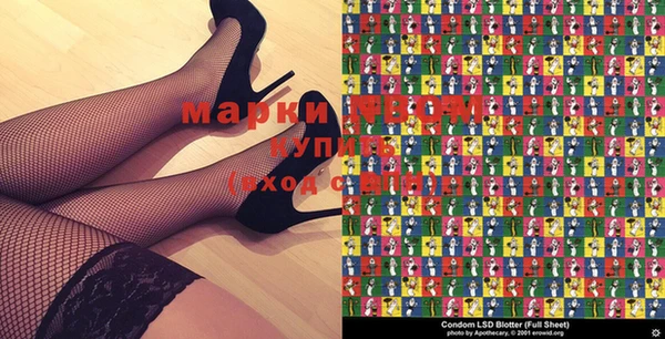 сатива Кукмор