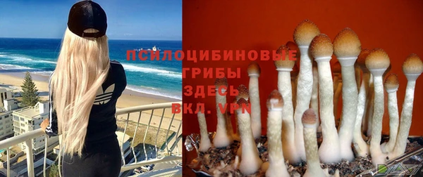 мяу мяу кристалл Куйбышев