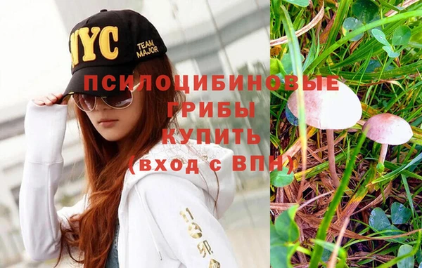 дурь Кулебаки